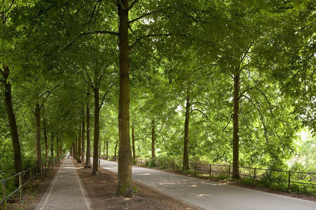 Appartamento Rosenweg Beelen Esterno foto